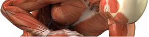 sportmassagewebshop